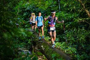 BIB: 
                            <button type="button" onclick="openModal(18922452)" class="btn btn-primary btn-sm float-right btn-popup" data-toggle="modal" data-target=".modal-high-quality">
                        <i class="fas fa-shopping-cart"></i> Add to Cart
                    </button>
                                            <button type="button" onclick="isThisMe(18922452, true)" class="btn btn-success btn-sm float-right btn-popup btn-isme hidden" data-toggle="tooltip" data-placement="bottom" title="นี่คือรูปของคุณใช่ไหม คลิกที่นี่เพื่อเอาเข้าอัลบั้ม">
                        <i class="fas fa-plus"></i> Add to album
                    </button>
                    <button type="button" onclick="isThisMe(18922452, false)" class="btn btn-warning btn-sm float-right btn-popup btn-isnotme hidden">
                        <i class="fas fa-ban"></i> Remove from album
                    </button>